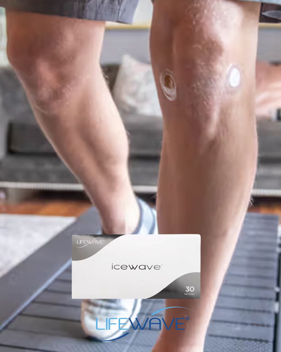 Bruno Arsénio - Networker